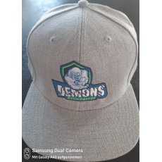 Snapback Demons Grey